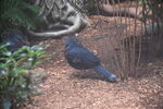 DSC_9092.JPG